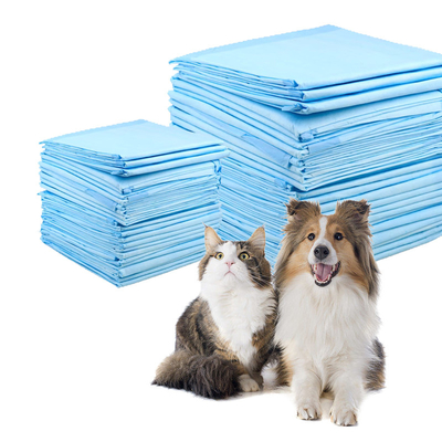 สีขาว / สีฟ้า / สีเขียว Super Absorbent แพดสัตว์เลี้ยงใช้ครั้งเดียว